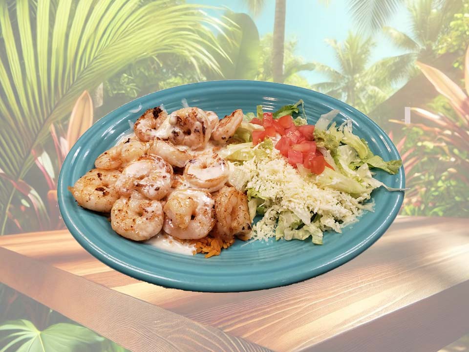 Grilled shrimp with seasoned rice and fresh salad